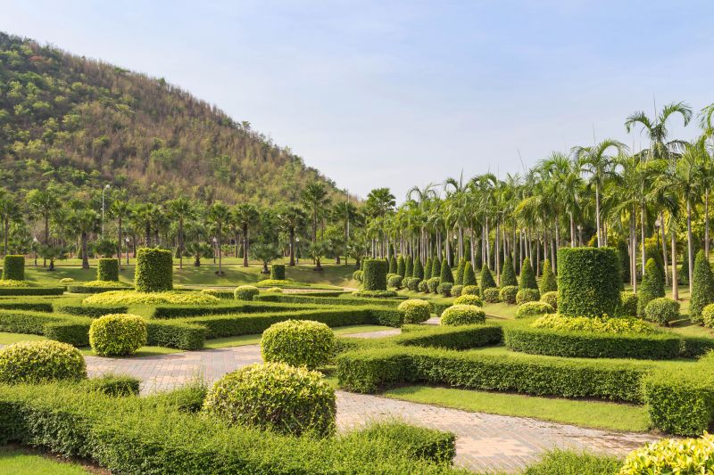 Decorative Shrub Shapes