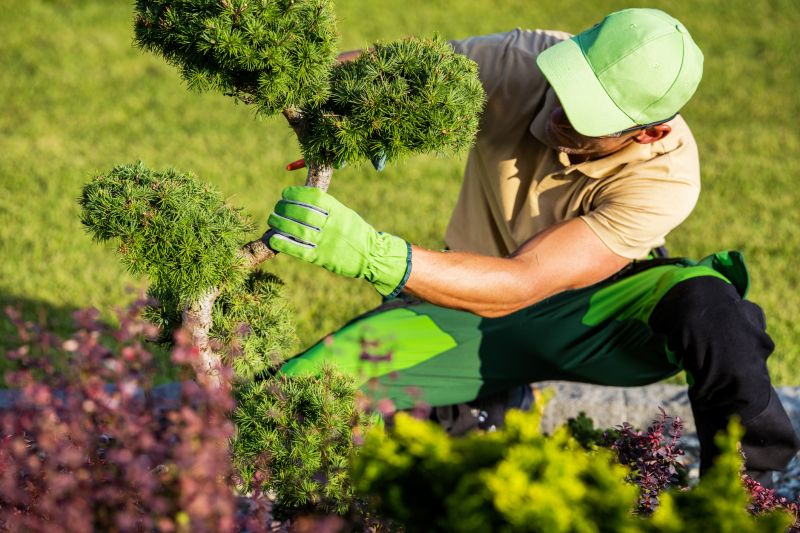 Seasonal Shrub Maintenance