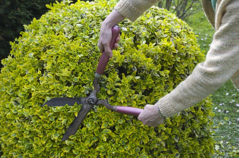 Seasonal Shrub Maintenance