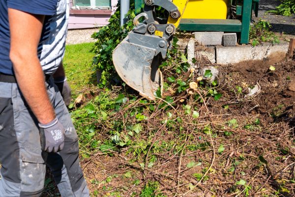 Hedge Removal Service in Bella Vista
