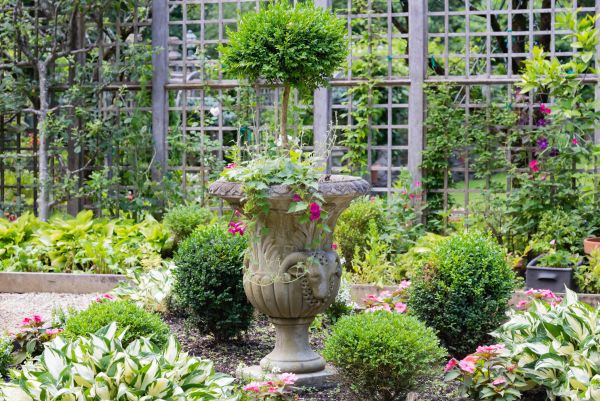 Topiary Pruning in Bella Vista
