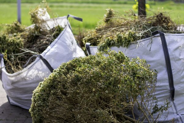 Shrubs Removal in Bella Vista