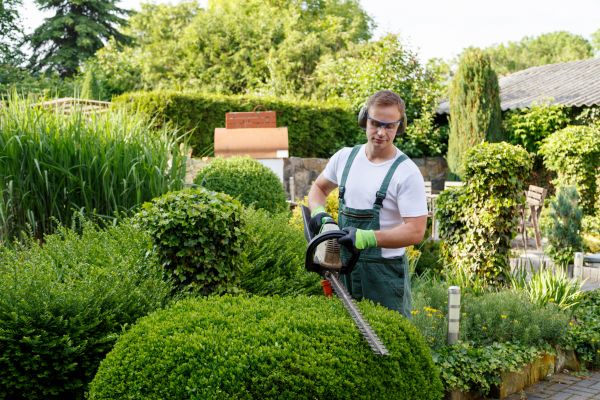 Shrubs Trimming in Bella Vista